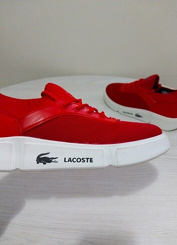 Lacoste Lacoste Sneaker