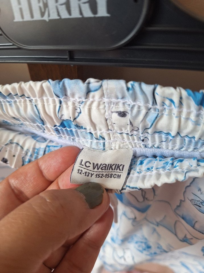 Lcw erkek çocuk mayo 11 yaş - Görsel 3