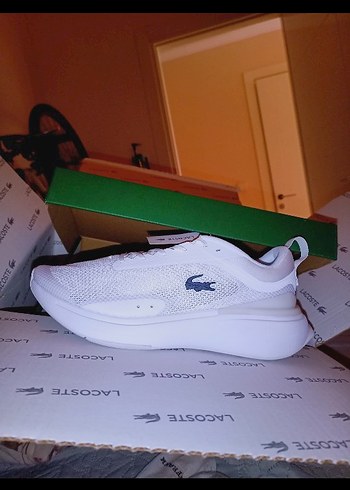 Lacoste 43