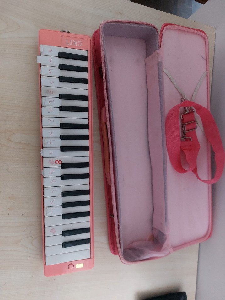 Pastel Pembe Melodika ve Taşıma Çantası - Görsel 2