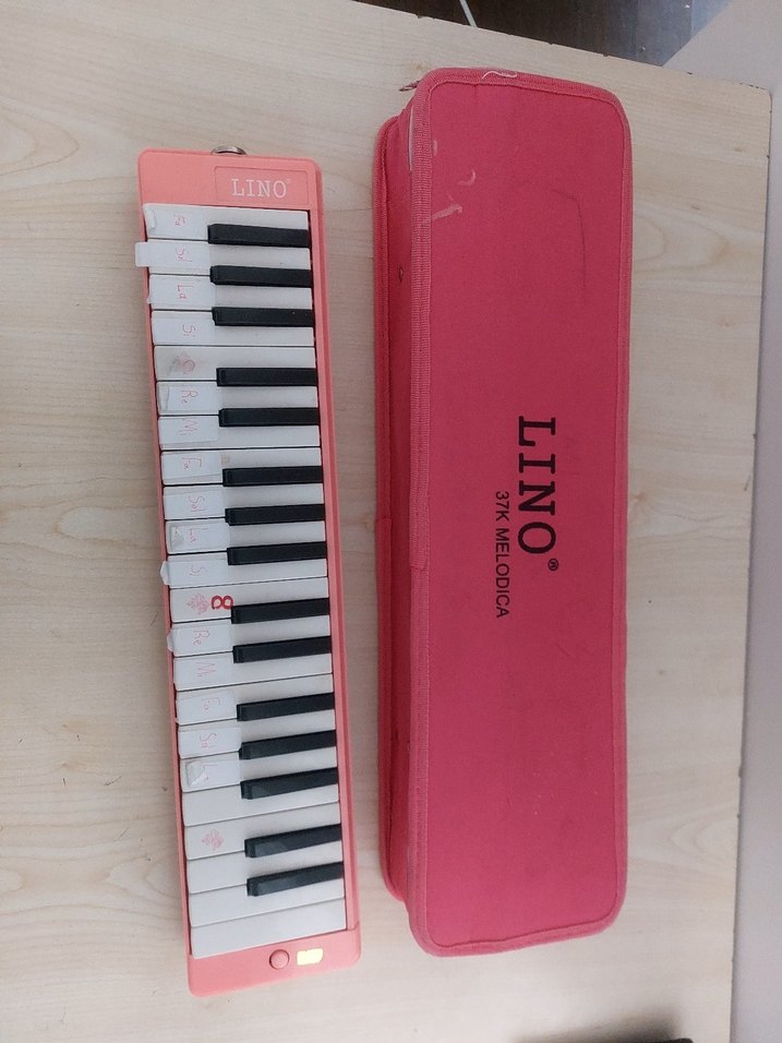 Pastel Pembe Melodika ve Taşıma Çantası - Görsel 3