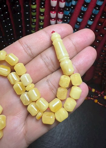 Rus Kalingrad Taygır king (16.5 gr.) - Görsel 6