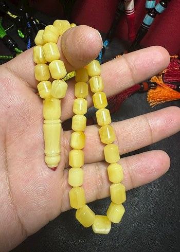 Rus Kalingrad Taygır king (16.5 gr.) - Görsel 5