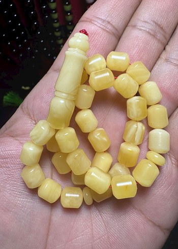 Rus Kalingrad Taygır king (16.5 gr.) - Görsel 2