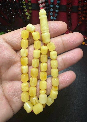 Rus Kalingrad Taygır king (16.5 gr.) - Görsel 3