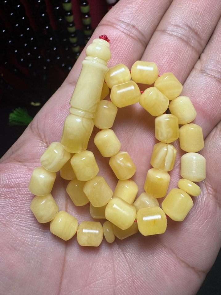 Rus Kalingrad Taygır king (16.5 gr.) - Görsel 2