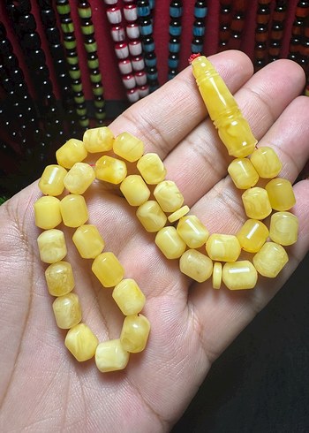 Rus Kalingrad Taygır King (16 Gram) - Görsel 10