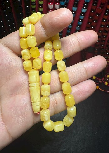 Rus Kalingrad Taygır King (16 Gram) - Görsel 5