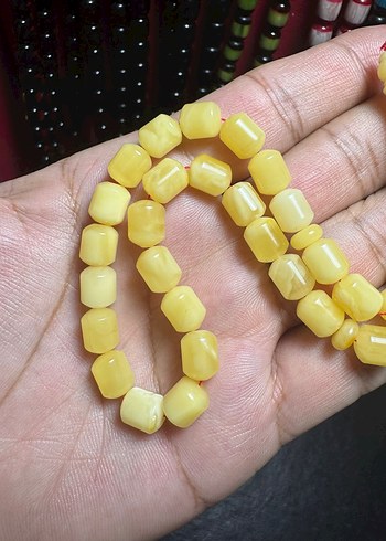 Rus Kalingrad Taygır King (16 Gram) - Görsel 9