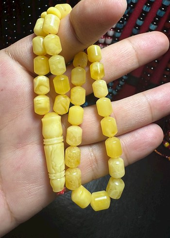 Rus Kalingrad Taygır King (16 Gram) - Görsel 6