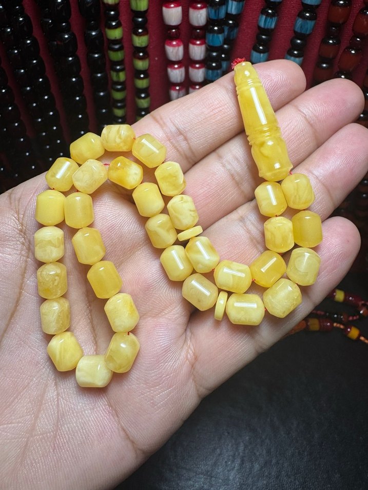 Rus Kalingrad Taygır King (16 Gram) - Görsel 4