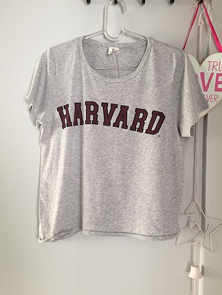 Hm harvard tişört