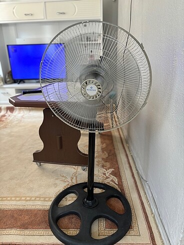 Rubenıs vantilatör