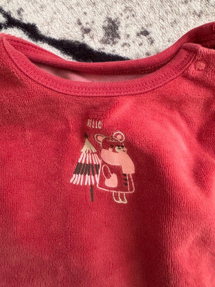 Kadife zıbın - Görsel 2