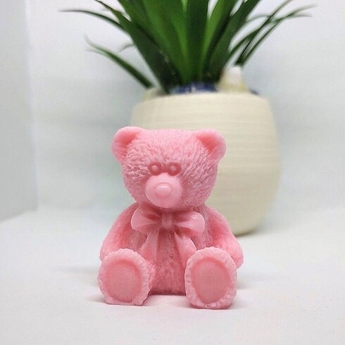 Ayı Teddy
