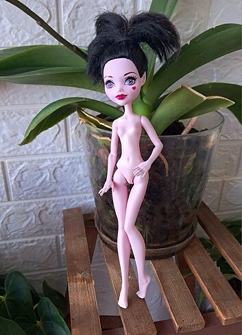 Monster High Draculaura 