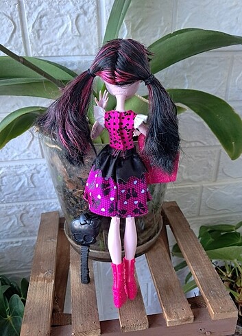  Beden Monster High Draculaura 