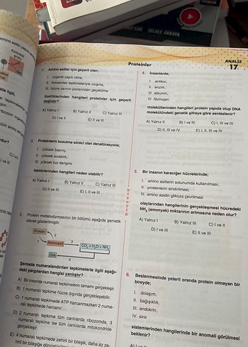  Beden Biyotik TYT Biyoloji Soru Bankası