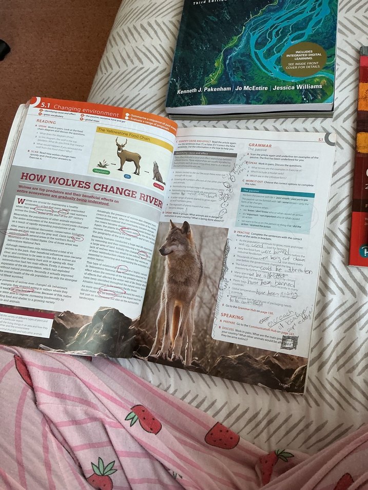 Language Hub B2 Upper Intermediate Kitap - Görsel 2