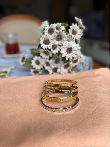 Beden Cartier