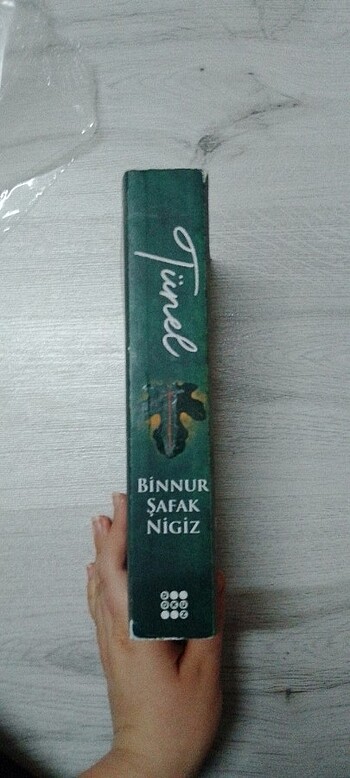 Binnur şafak nigiz'in is serisinin ilk kitabı Tünel