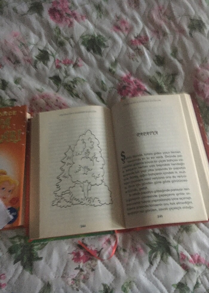 2 adet masal kitabı - Görsel 2