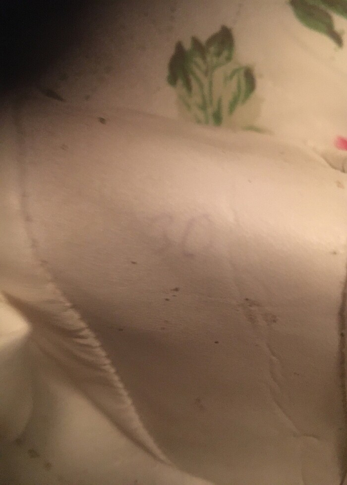 30 numara pisi pisi - Görsel 2