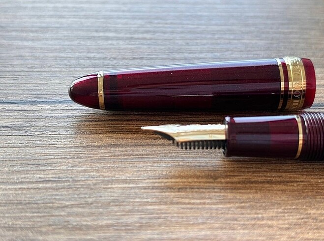 Beden Renk Sailor Profit 14k M uç Dolma Kalem