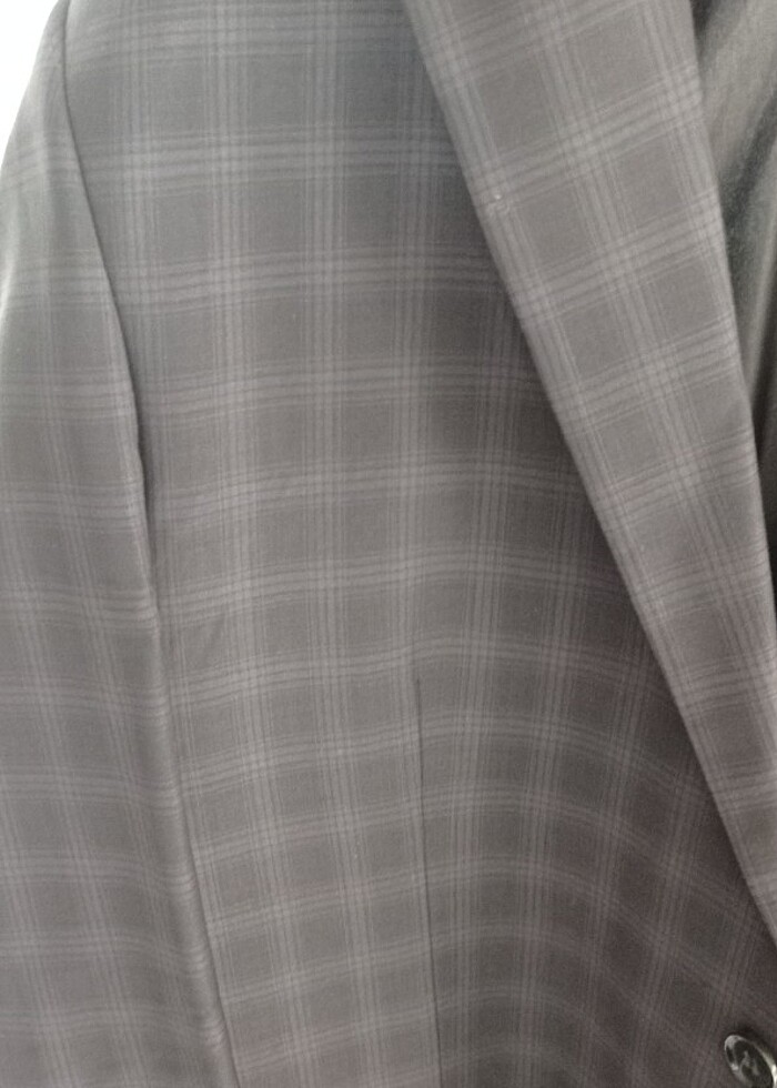 Altınyıldız Kareli ceket - Görsel 3