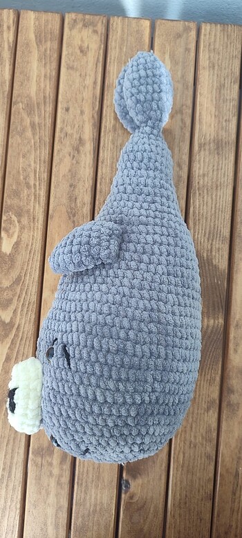 Kadife fok balığı - Görsel 3