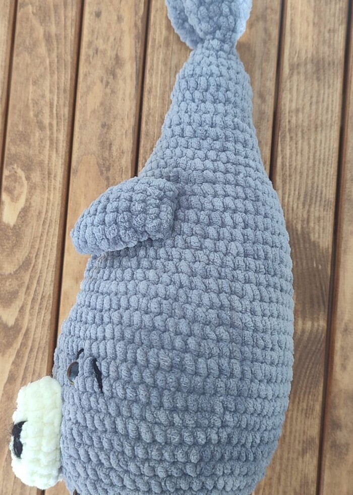 Kadife fok balığı - Görsel 3