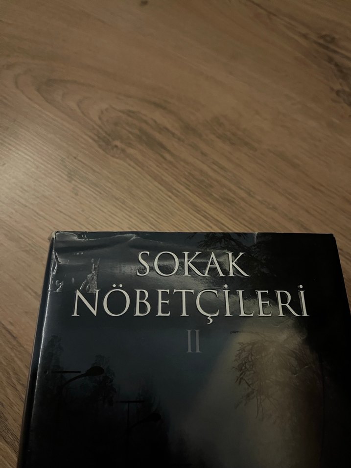 Sokak Nöbetçileri Serisi - Aslı Arslan - Görsel 5