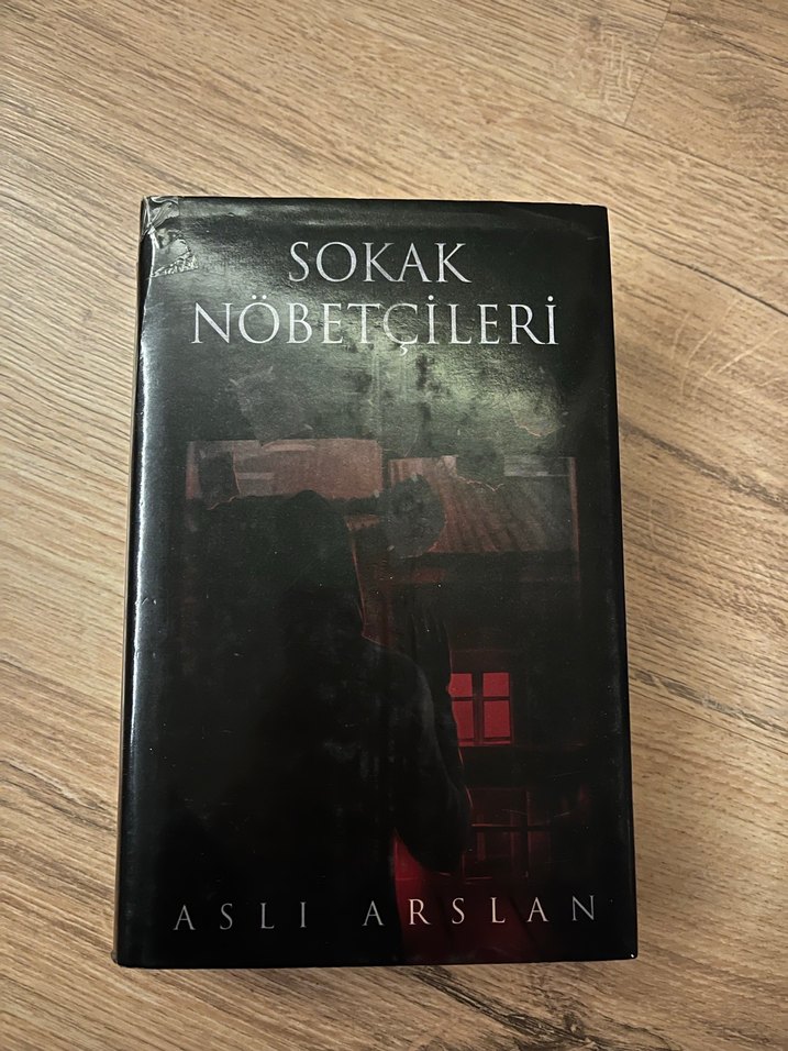 Sokak Nöbetçileri Serisi - Aslı Arslan - Görsel 2
