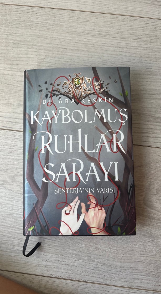 Kaybolmuş Ruhlar Sarayı - 2 Cilt Set - Görsel 4