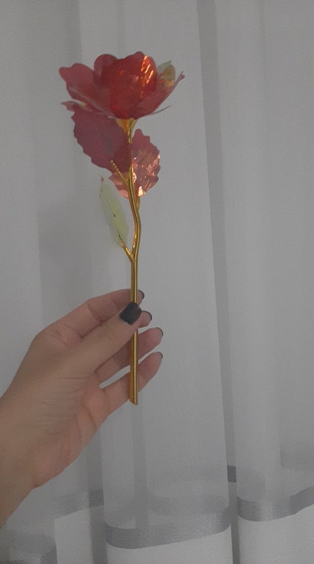 Kırmızı Metal Gül - Görsel 3
