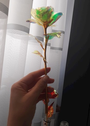 Renkli Şeffaf Gül - Görsel 2