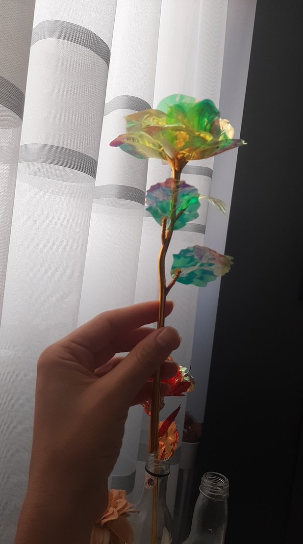 Renkli Şeffaf Gül - Görsel 3