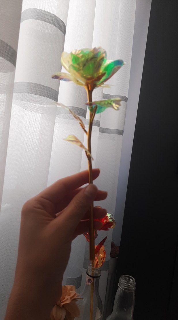 Renkli Şeffaf Gül - Görsel 2