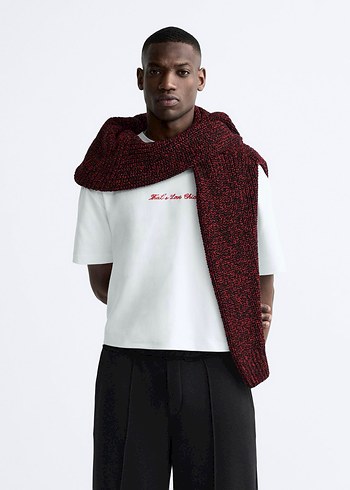 zara boxy fit t-shirt