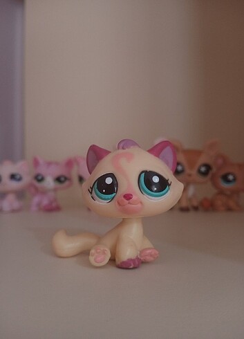 lps kedi miniş minişler littlest pet shop