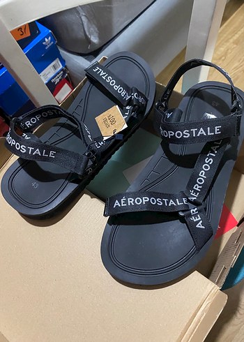 Aeropostale 42