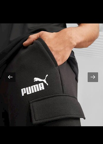 Puma m