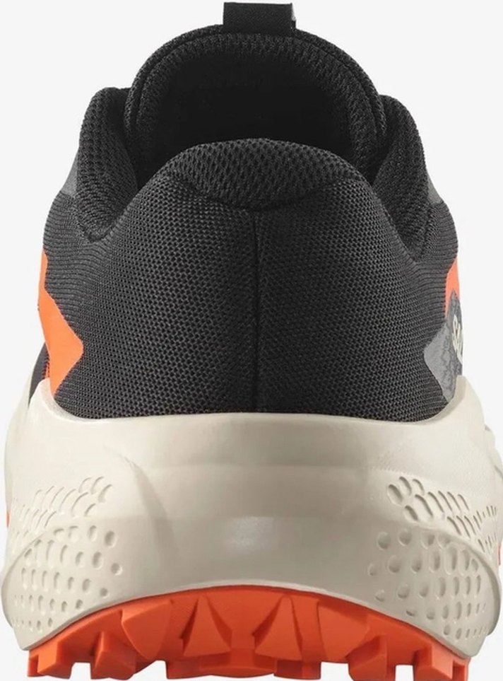 SALOMON ALPHAGLİDE - Görsel 4