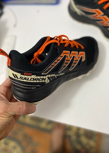 Salomon Wander - Görsel 3