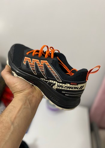 Salomon Wander - Görsel 2