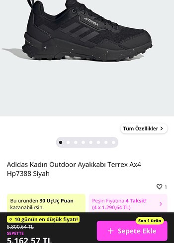 ADİDAS TERREX AX4 - Görsel 7