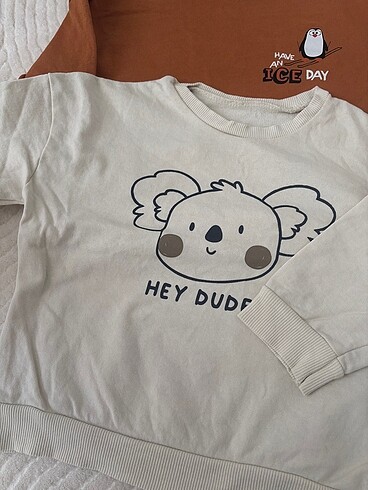 LC Waikiki Erkek çocuk sweatshırt