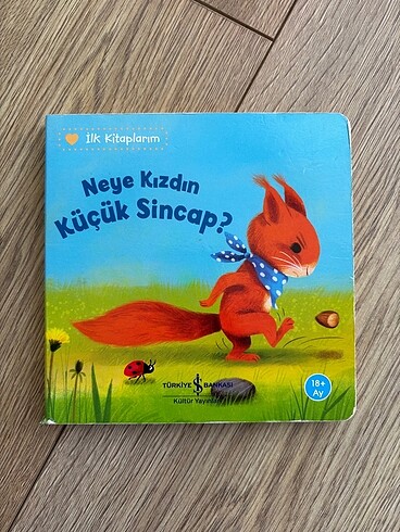 Neye Kızdın Küçük Sincap? Kitap