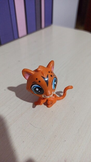 Lps miniş