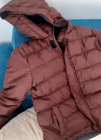 Koton mont